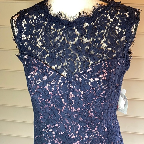 NWT Eliza J Lace Fit Flare Desss - Picture 4 of 9